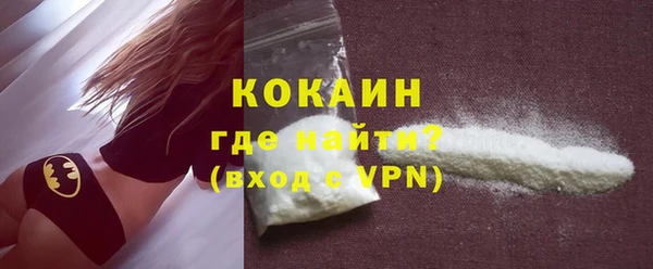 шишки Вязники