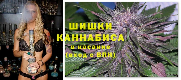 шишки Вязники