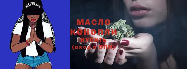 шишки Вязники
