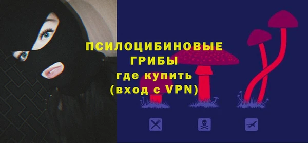 шишки Вязники