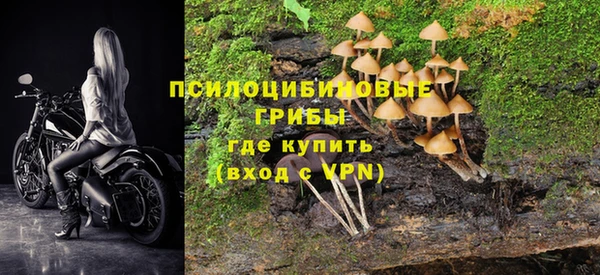 герыч Вяземский