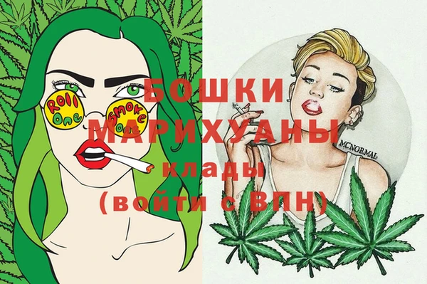 шишки Вязники