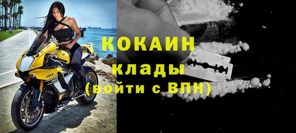 шишки Вязники