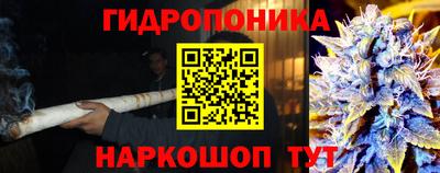a pvp Заволжье