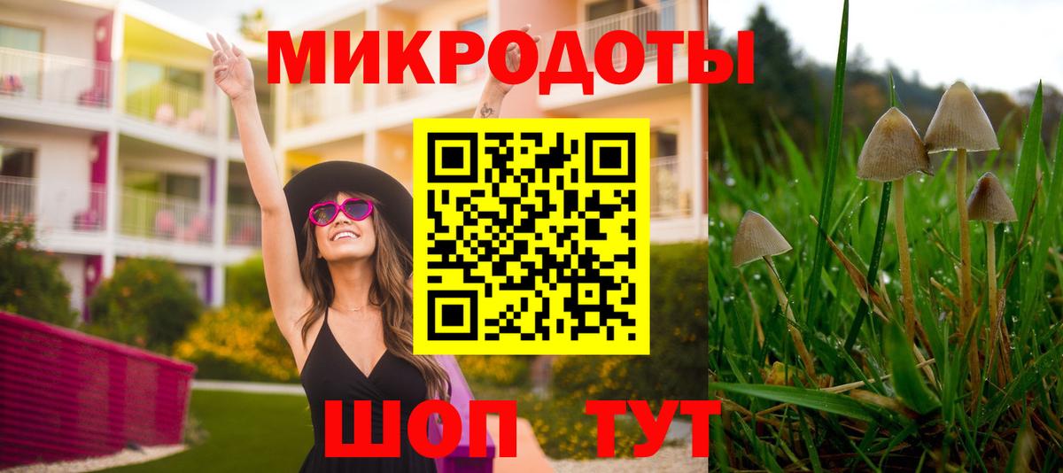 Галлюциногенные грибы GOLDEN TEACHER  купить наркотик  Муром  Вход с VPN 